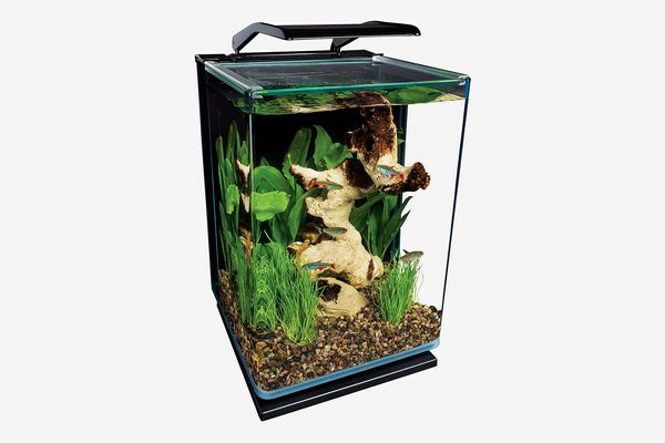 MarineLand 5 Gallon Portrait Glass LED Aquarium Kit