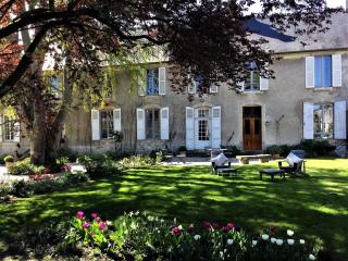 Le Grand Arbre - Bayeux