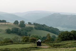 Arwen - Llangollen