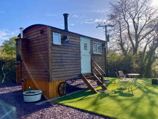 Shepherds Hut, Conwy Valley - Conwy