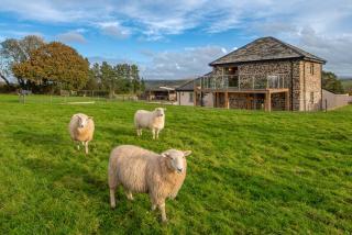 18th century renovated barn in beautiful Devon countryside - Broadwoodwidger