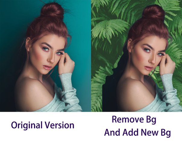 How to remove the background from of an image without Photoshop - Quora