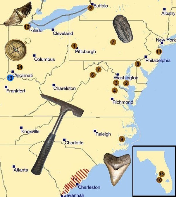 What is the best location to find fossils that you can keep on the East  Coast? - Quora