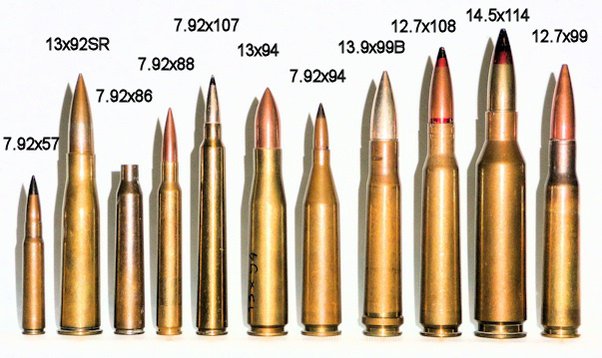 50 Beowulf Vs 50 Bmg