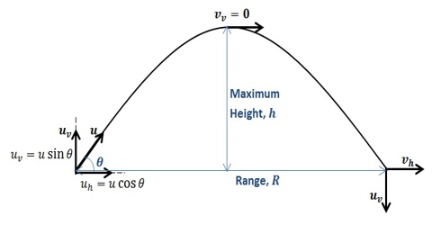 Projectile Motion Parabola