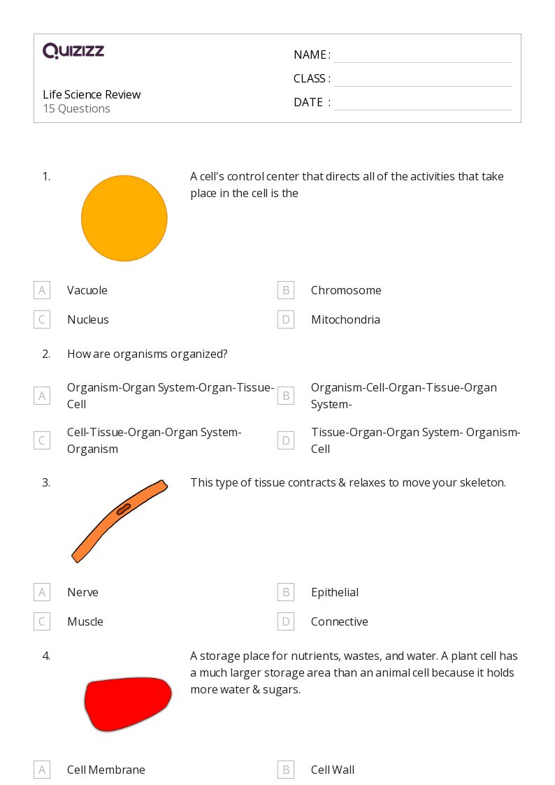 Life Science Review - Printable Science Worksheets Year 8 - Quizizz