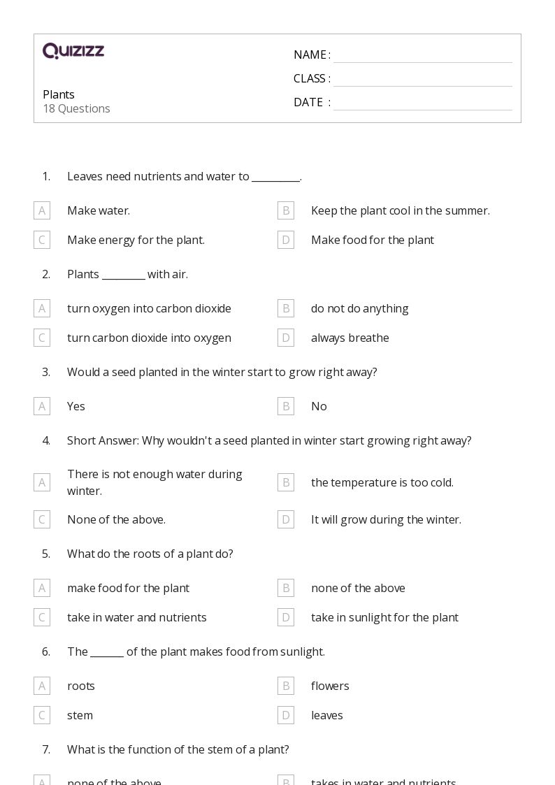 Plants - Printable Graphing-points-on-a-coordinate-plane Worksheets Grade 3 - Quizizz