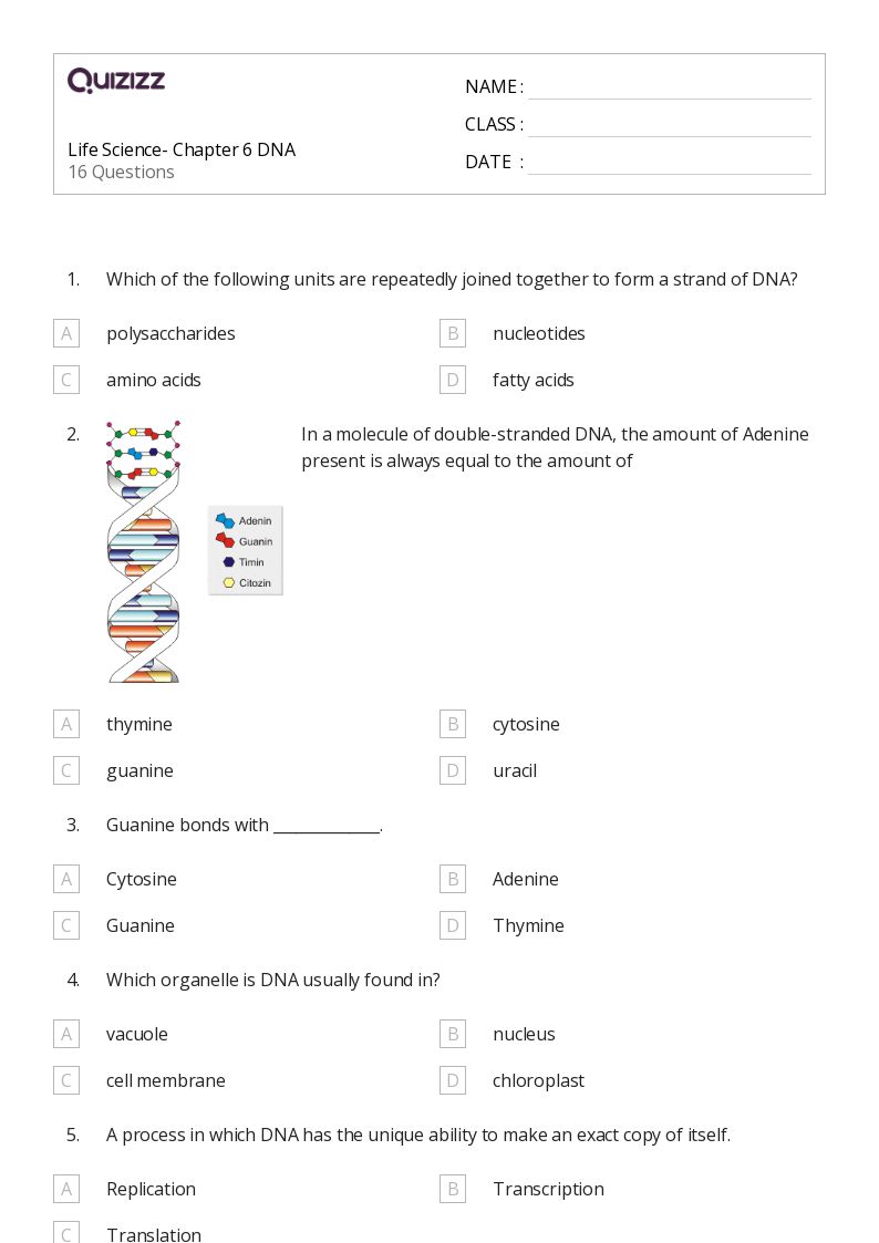 Life Science- Chapter 6 DNA - Printable Science Worksheets Year 8 - Quizizz