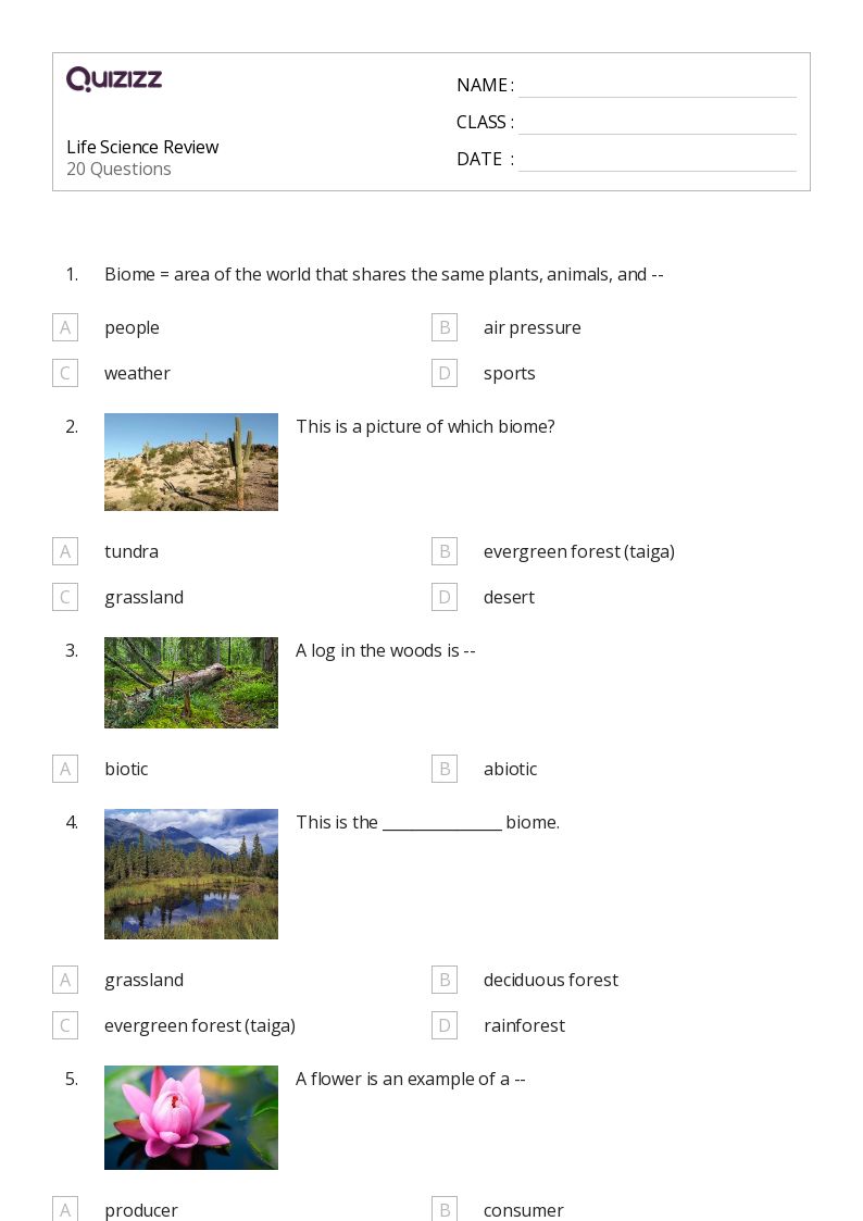 Life Science Review - Printable Science Worksheets Year 8 - Quizizz