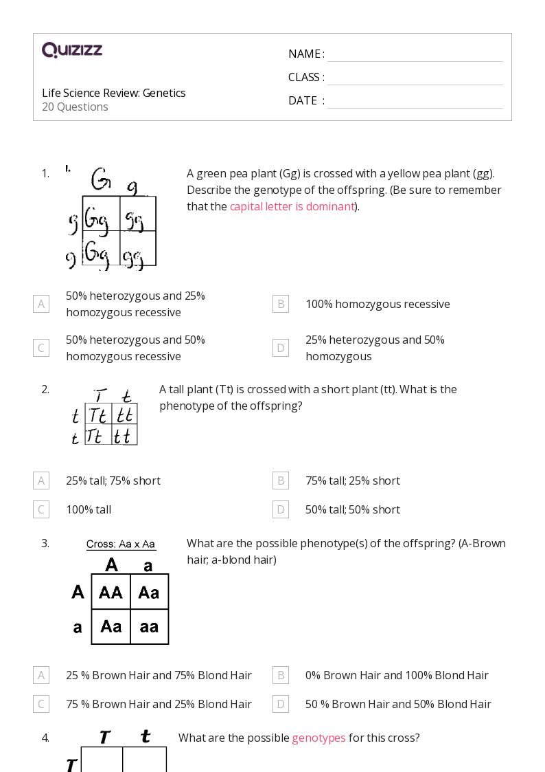 Life Science Review:  Genetics - Printable Science Worksheets Year 8 - Quizizz