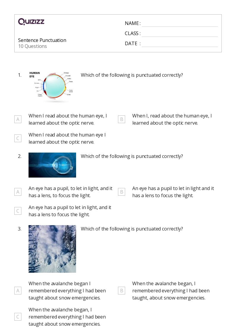 Sentence Punctuation - Printable Punctuation Worksheets Grade 7 - Quizizz