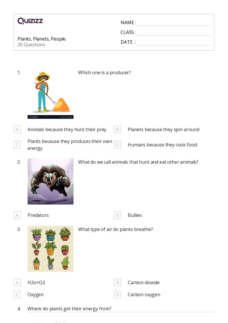 Plants, Planets, People. - Printable Graphing-points-on-a-coordinate-plane Worksheets Grade 3 - Quizizz