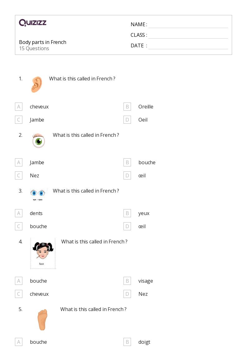 Body parts in French - Printable French Worksheets Class 6 - Quizizz