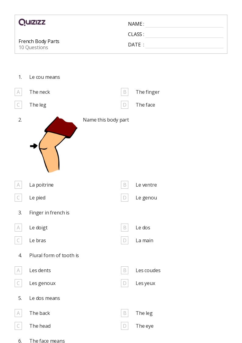 French Body Parts - Printable French Worksheets Class 6 - Quizizz