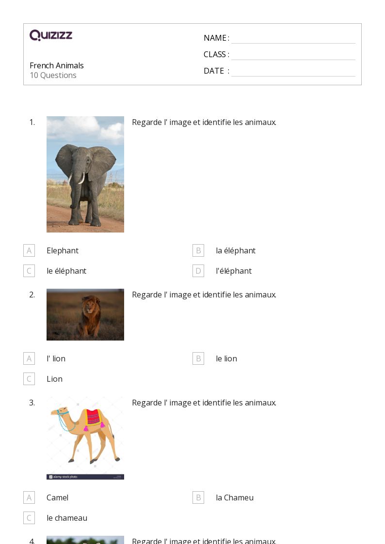 French Animals - Printable French Worksheets Class 6 - Quizizz