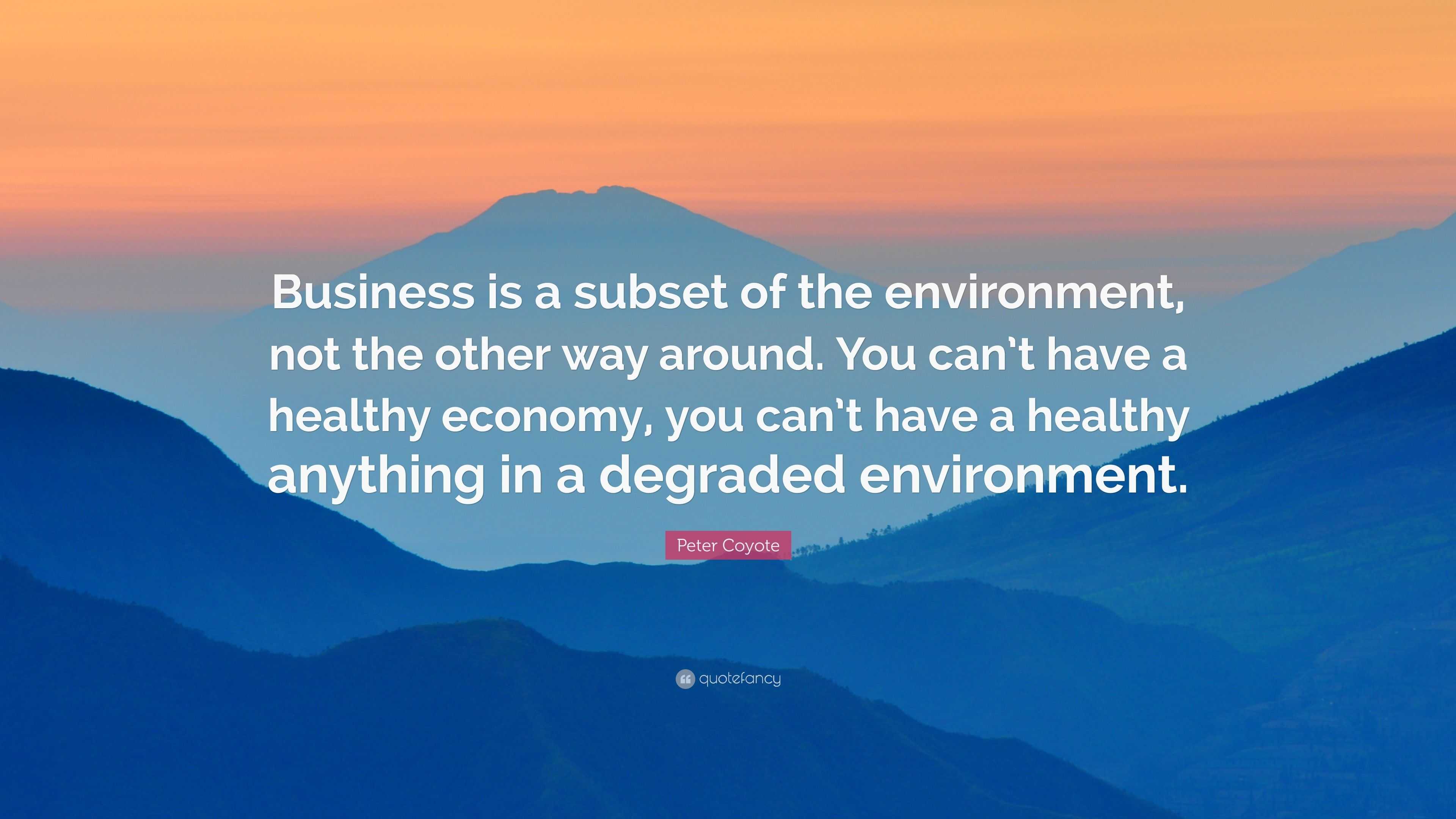 Peter Coyote Quote: “Business is a subset of the environment, not the ...