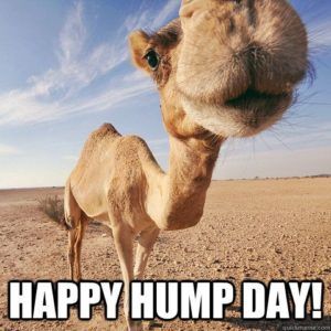 Happy Hump Day!