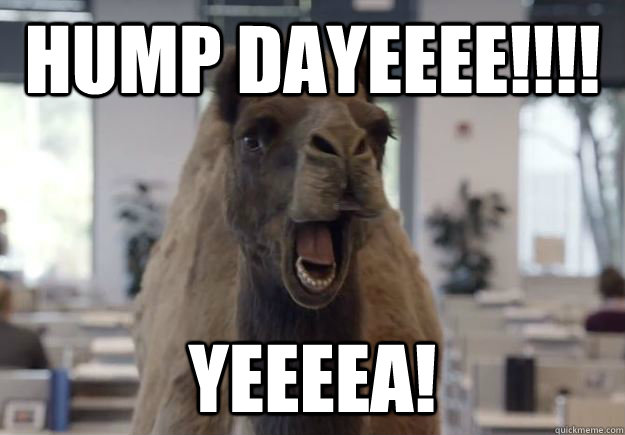 Hump DayEEEE!!!! YEEEA!