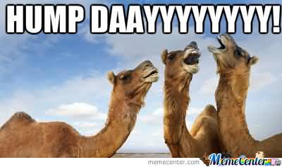 Hump Dayyyyyyyy!