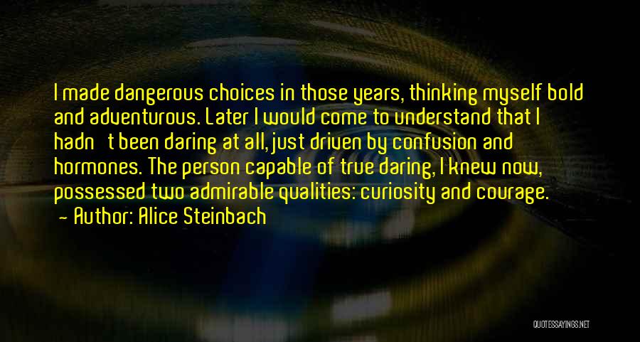 Dangerous Person Quotes By Alice Steinbach