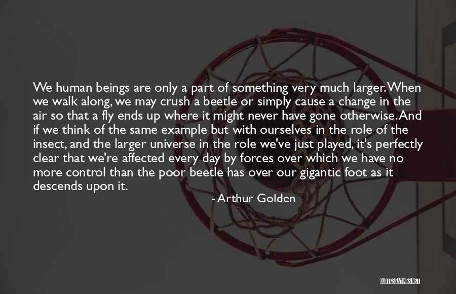 Time Fly By Quotes By Arthur Golden