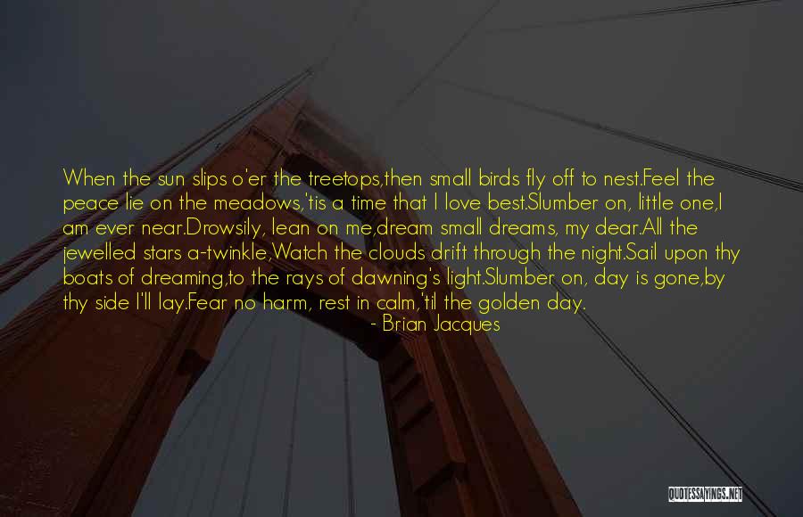 Time Fly By Quotes By Brian Jacques