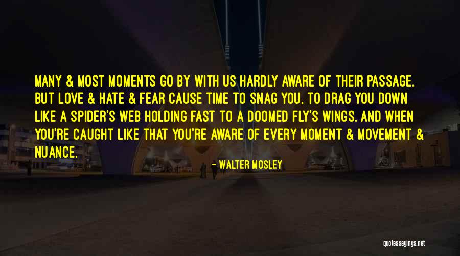 Time Fly By Quotes By Walter Mosley