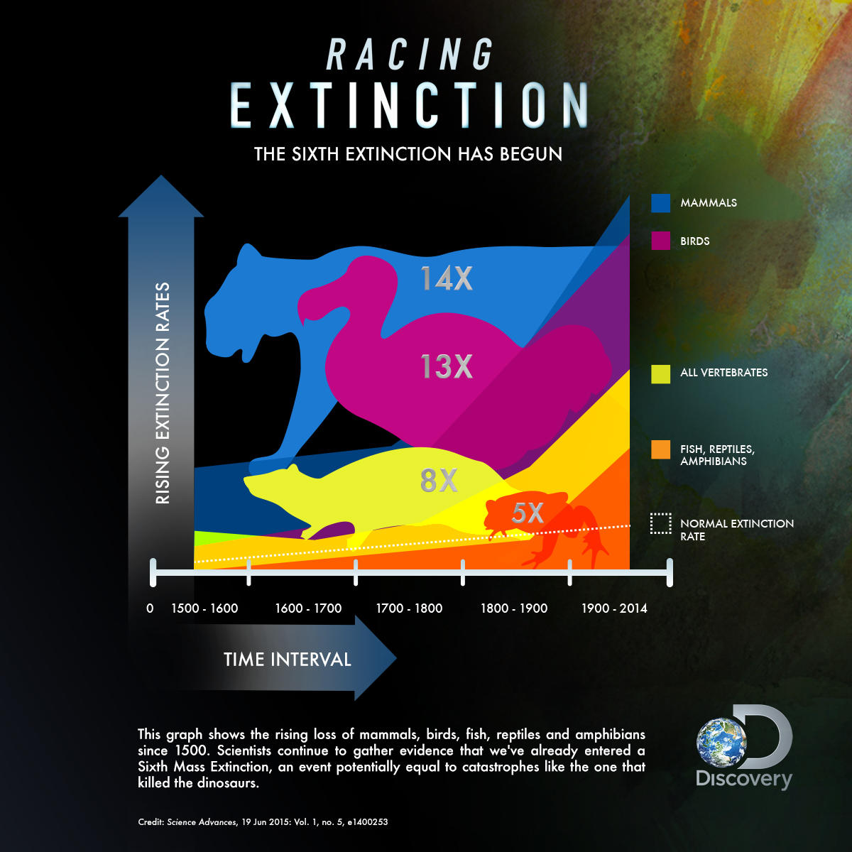 Facts About Extinction Of Species