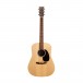 Martin D-X2E Brazilian Rosewood