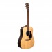 Martin D-X2E Brazilian Rosewood