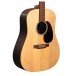 Martin D-X2E Brazilian Rosewood