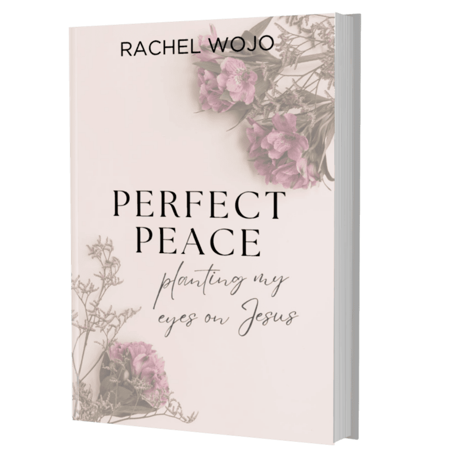 Perfect Peace Bible Reading Plan and Journal