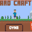 Crazy Craft