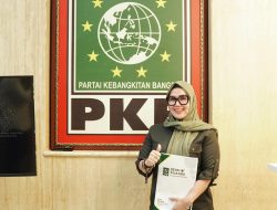 Andi Ina Sudah Punya Tiket Maju Pilkada Barru, PKB Berikan Rekomendasi