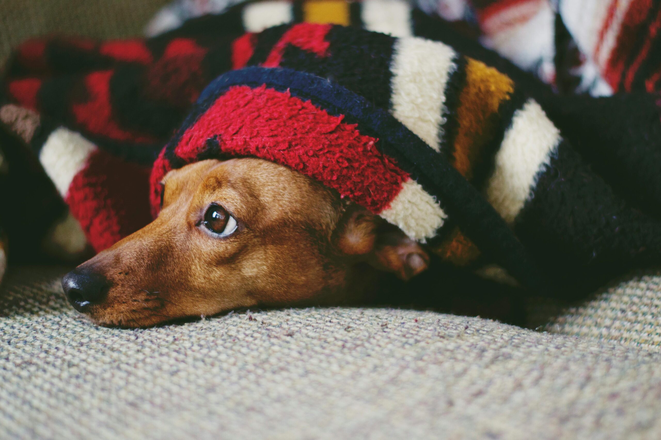 How To Clean Blankets