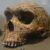 10 Oldest Human Skeletons Ever Discovered