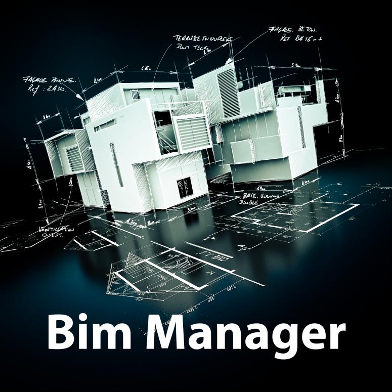 Trở Thành Chuyên Gia BIM Manager – Cơ Hội Đột Phá Sự Nghiệp Thời Đại 4.0