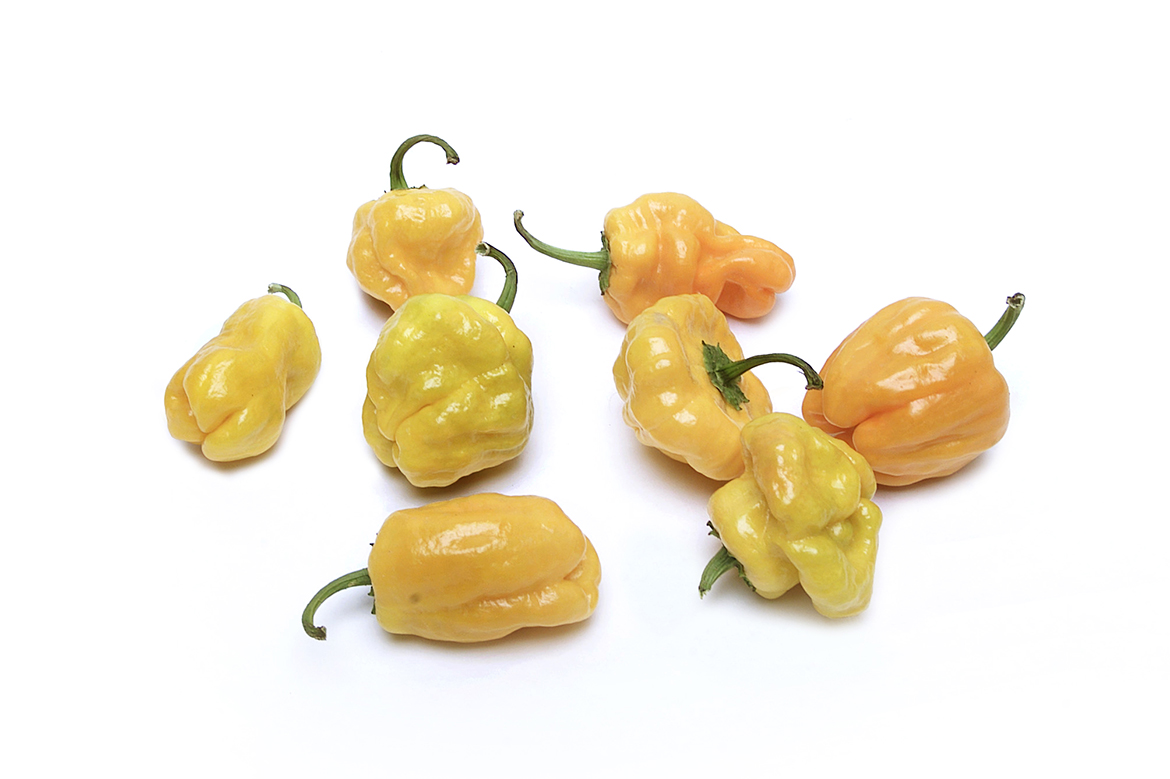 Know Your Chile Peppers: The Ultimate Guide l scotch bonnet chile peppers on white