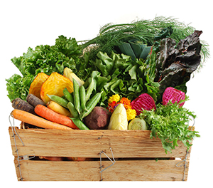 Organic Produce Box