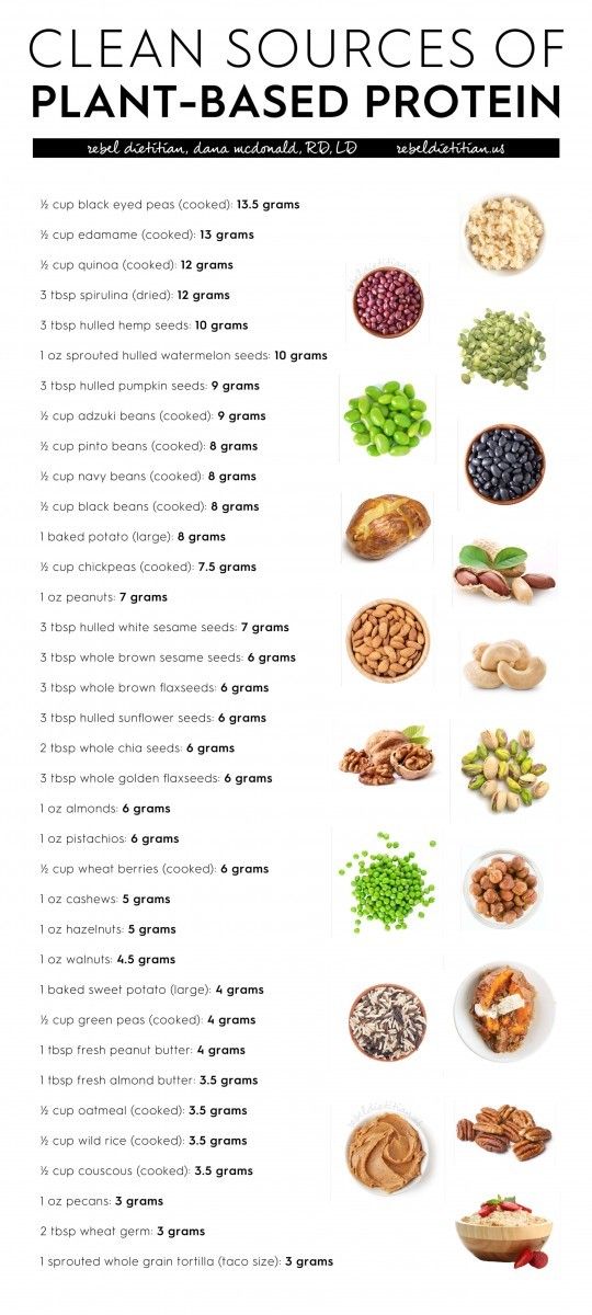 Plant Based Protein Sources Chart