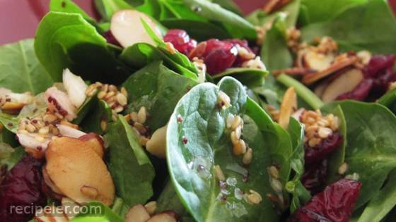 Jamie's Cranberry Spinach Salad