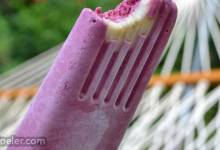 Fresh Fruit and Yogurt ce Pops