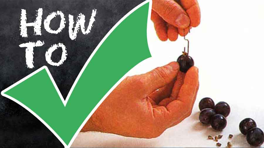 How-to-Deseed-Grapes-To-deseed-with-a-paper-clip-with-a-knife-tips