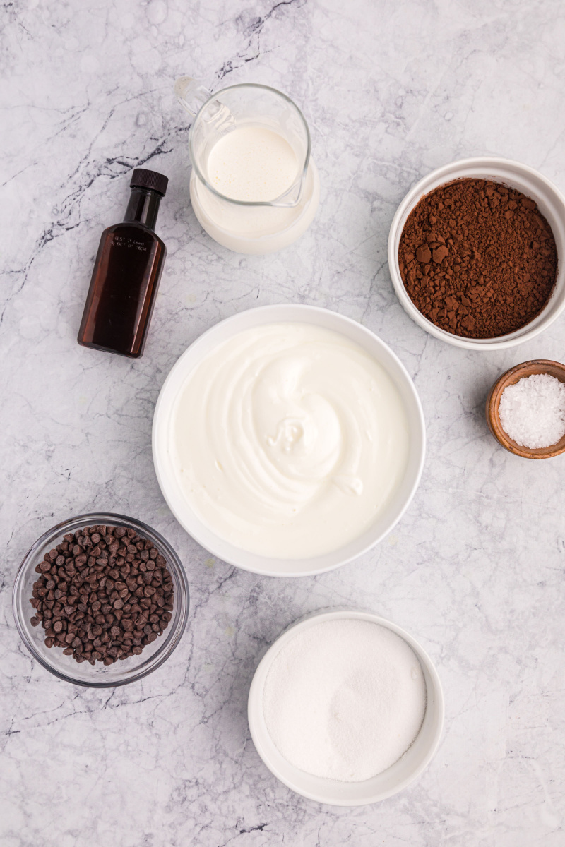 ingredients displayed for making chocolate frozen yogurt