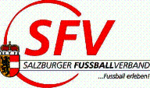 SFV-Logo