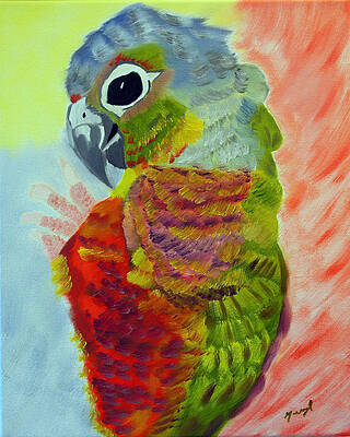 Rosella Paintings for Sale | Pixels