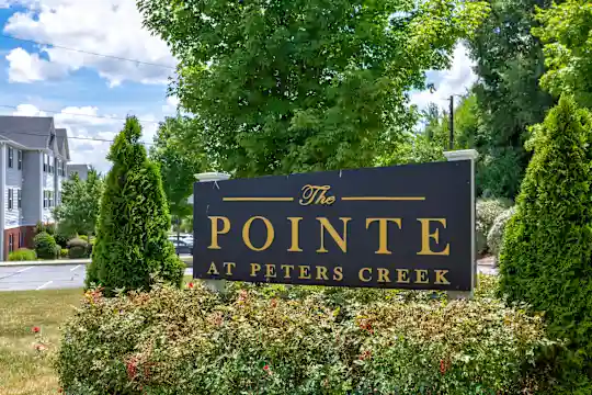 The Pointe at Peters Creek - Winston-Salem, NC - Photo 11