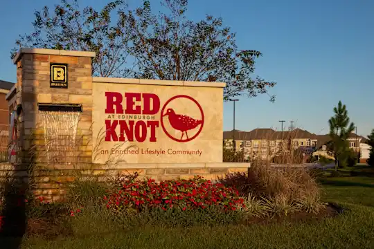 Red Knot at Edinburgh - Chesapeake, VA - Photo 7