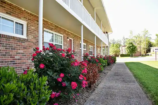 view of property with a yard