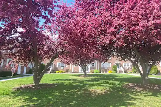 Colonial Village Apartments - Glastonbury, CT - Photo 12